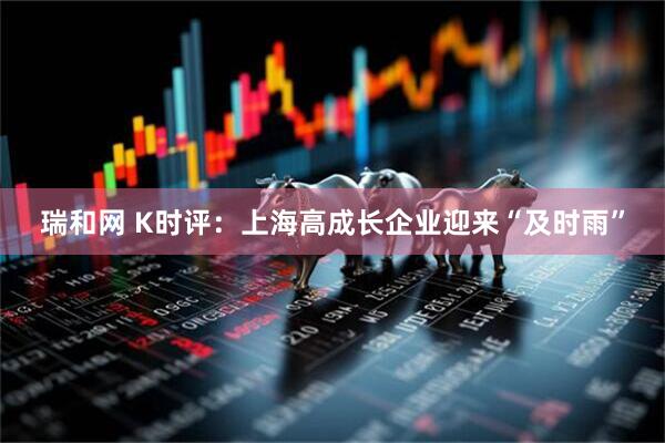 瑞和网 K时评：上海高成长企业迎来“及时雨”