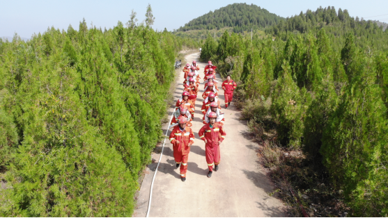 明道配资 青山为证——致敬青州73.4万亩青山的绿色守护者