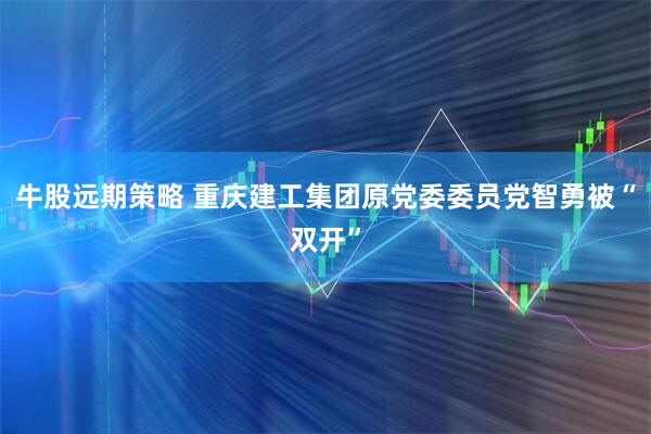 牛股远期策略 重庆建工集团原党委委员党智勇被“双开”
